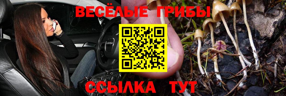 Псилоцибиновые грибы MAGIC MUSHROOMS  Вход с VPN  Качканар 
